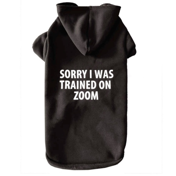 Other - Pet "Sorry I Was Trained on Zoom" Black Hoodie